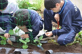 科学部３