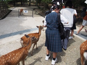 修学旅行１－７