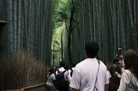 修９