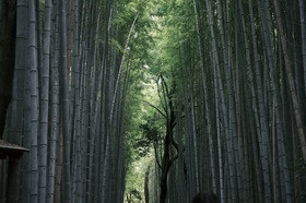 修１０