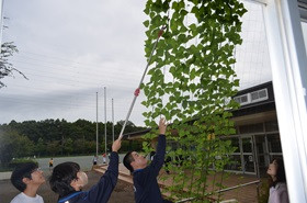 科学部１